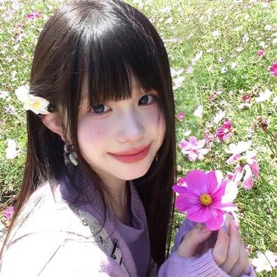 容易受伤的玫瑰